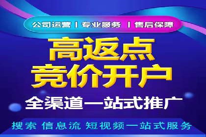 Sem优化公司成功案例：快速占领市场